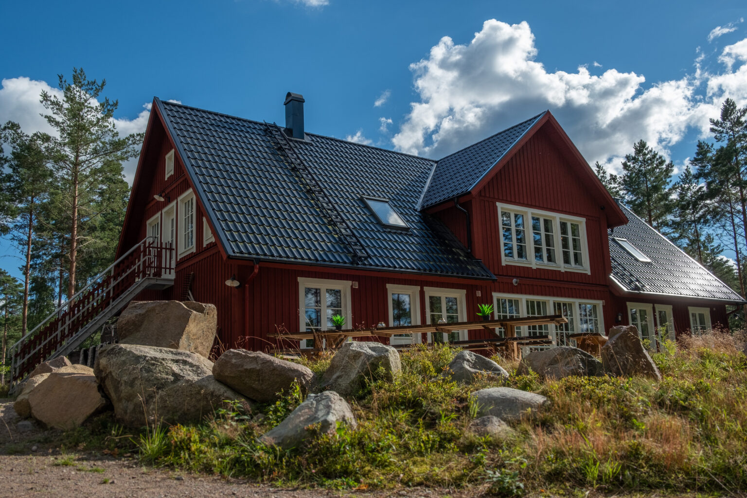 Skogslugnet
