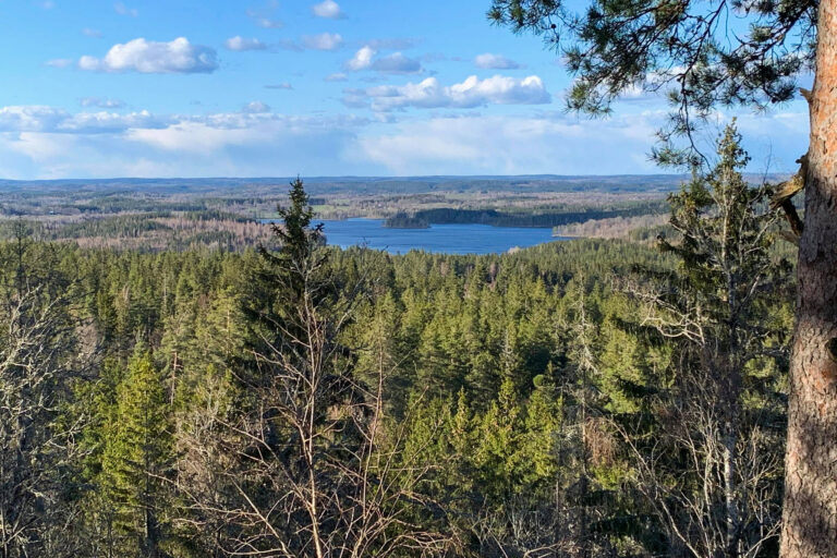 Höglandsleden utsikt från Jättabacken i Lemnhult