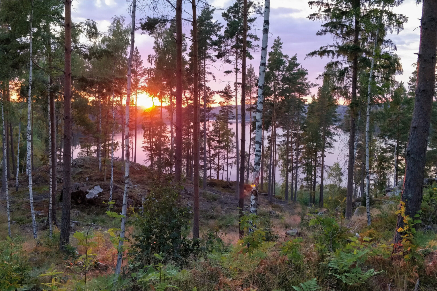 Motljus över sjön