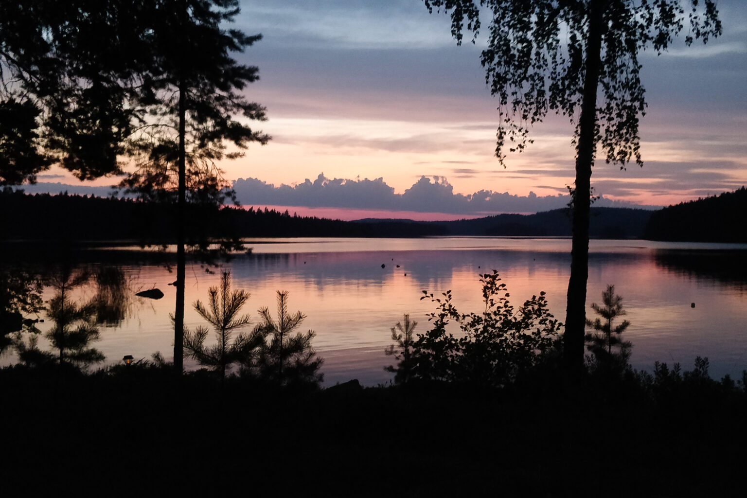 Rosa solnedgång