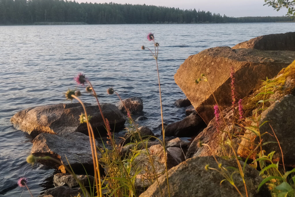 Sten vid sjön
