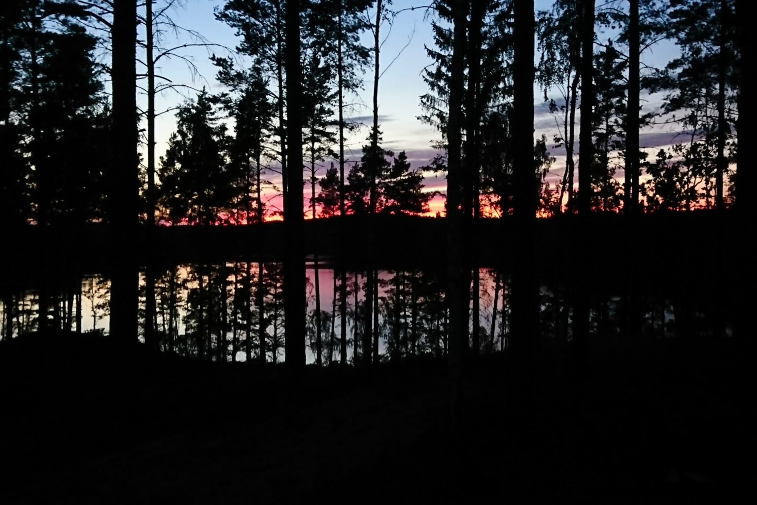 Utsikt från huset