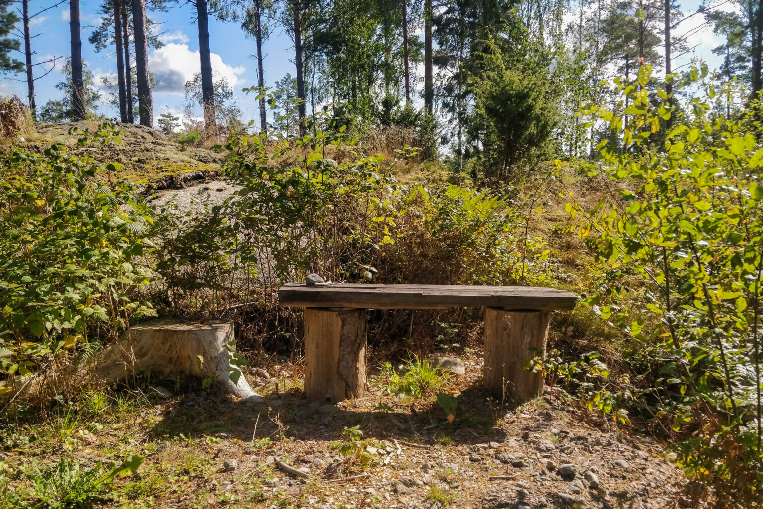 bänk